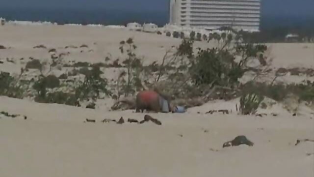 جودة عالية الدقة : منقاد فاسق شهوانية يونيو ميساكي يرغب في سكس محارم عربي مترجم الفوز الديك اللعنة الكبار أفلام سكس